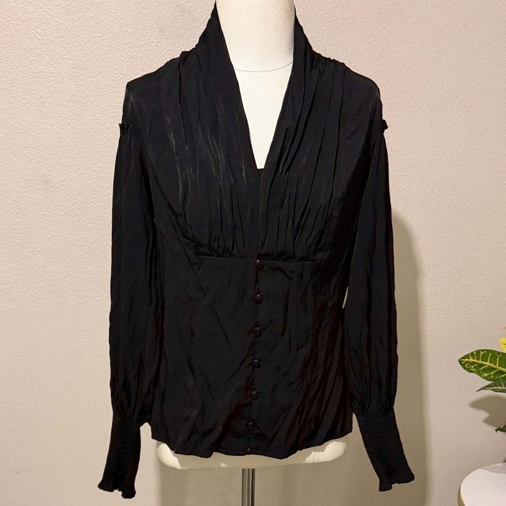 Scarlet Darkness Black Victorian Style Steampunk Button Down Blouse Gothic